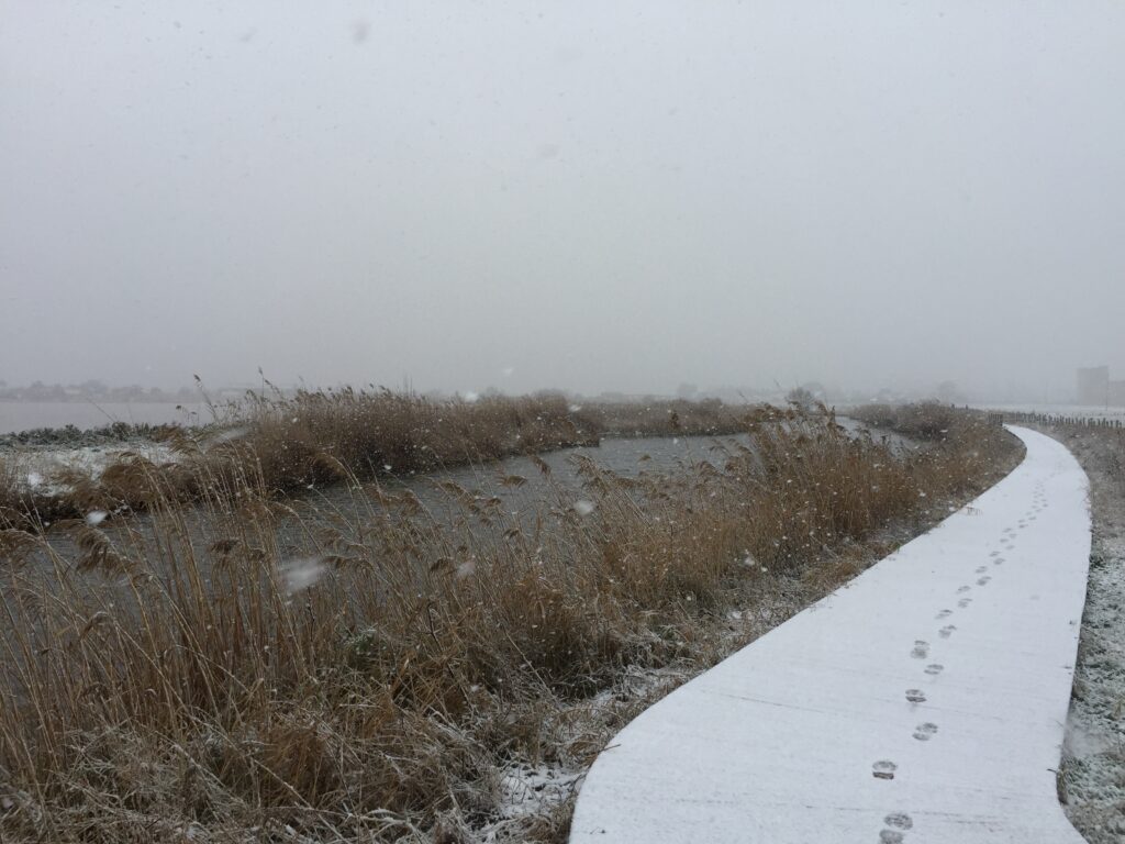 La neige au pied des remparts d'Aigues-Mortes, en 2015, le long de la promenade côté salins.