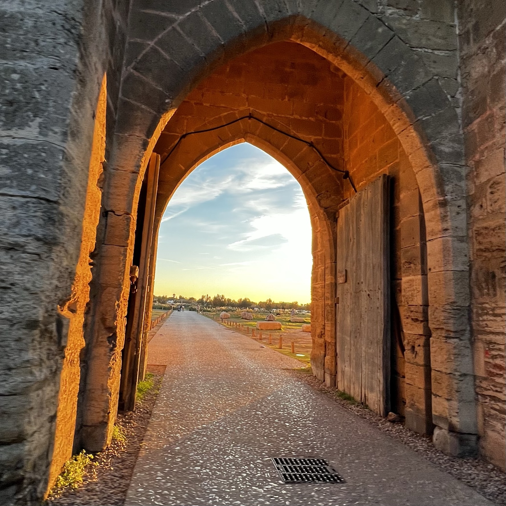 L'hiver, au soleil couchant, c'est le meilleur moment pour photographier Aigues-Mortes.