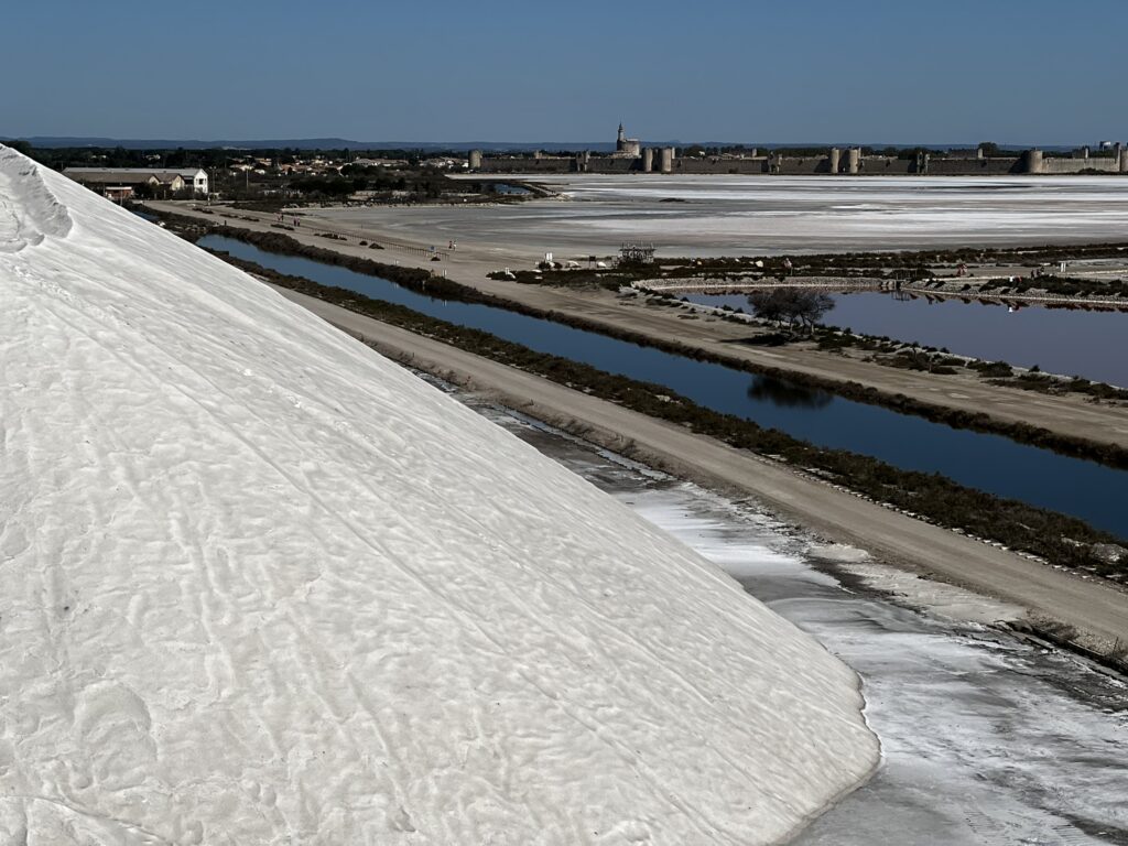 Découvrir les salins en plein hiver